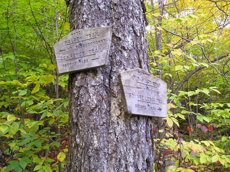 Hibbard (41).JPG - Finally, arriving at the Old Mast Rd. the hard stuff was over. It tool us about 1 hour to do the .9 mile trek from the Wonalancet trail intersection.